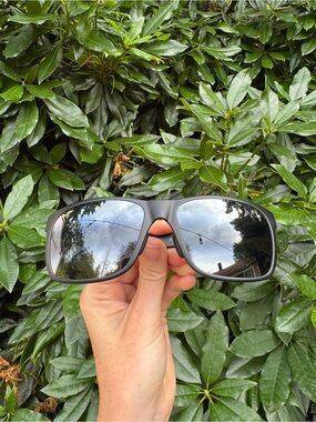 Polarized Maui Jim Sunglasses